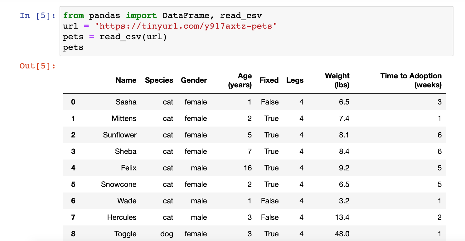 pets dataframe